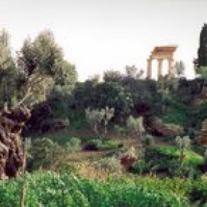 Agrigento valle dei templi