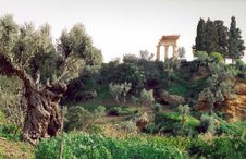 Agrigento valle dei templi